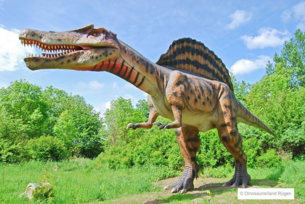 Dinosaurierland Rügen